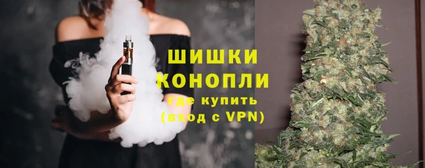 ПСИЛОЦИБИНОВЫЕ ГРИБЫ Верея
