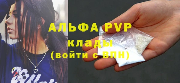 ПСИЛОЦИБИНОВЫЕ ГРИБЫ Верея
