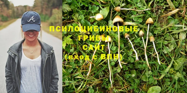 меф Каменск-Шахтинский
