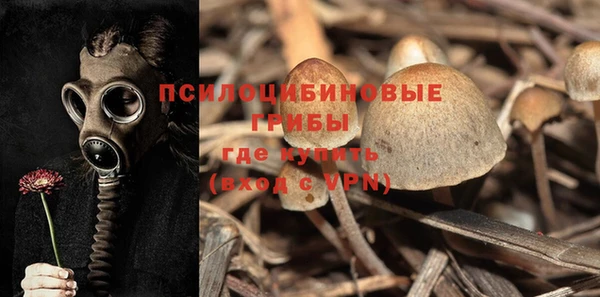 ПСИЛОЦИБИНОВЫЕ ГРИБЫ Верея